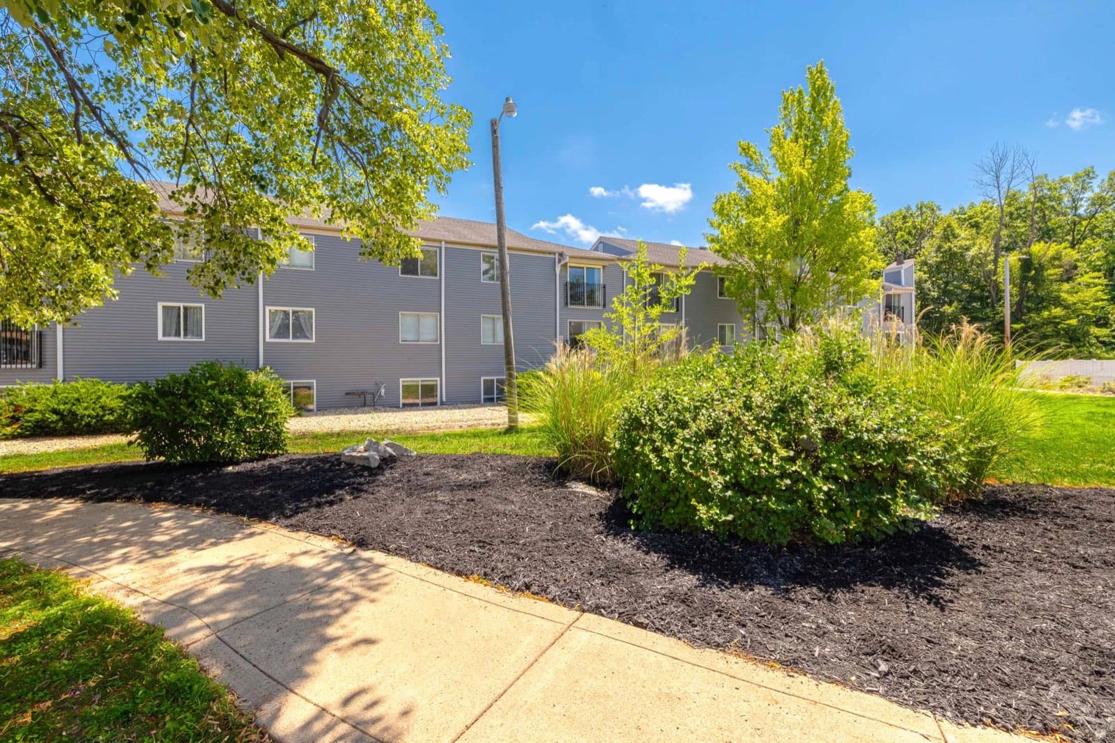 Lawn, mature trees and walking paths on the grounds at The Grove